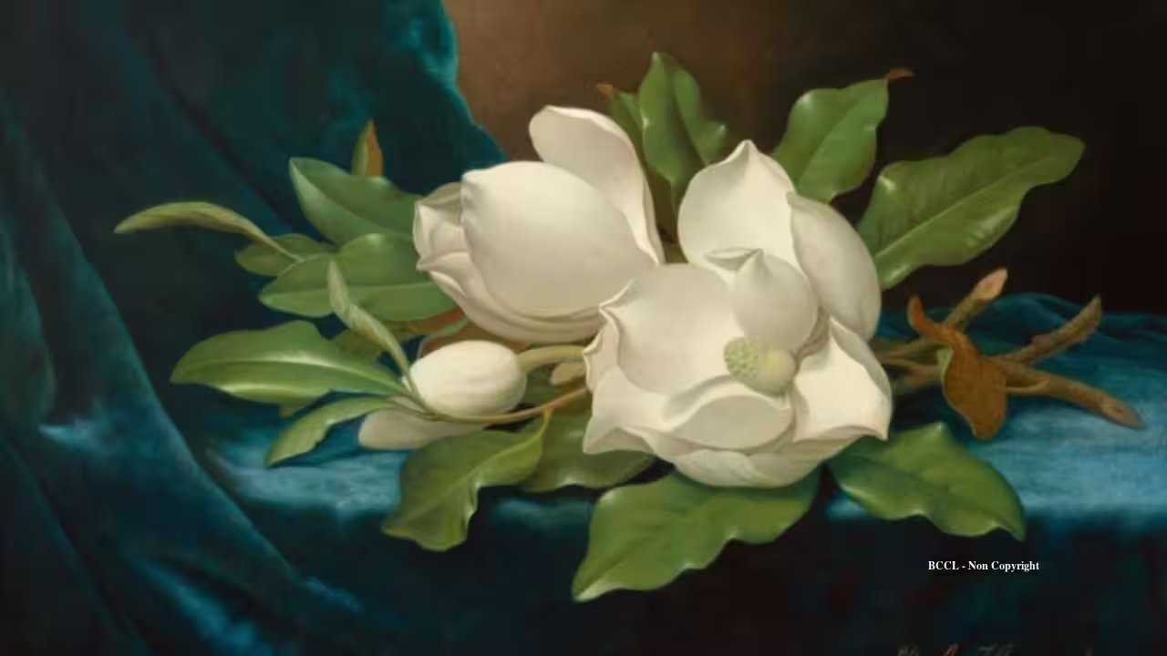 Carl Rice Turns 60‑Dollar Estate Purchase into $1.07 Million Heade Collection
