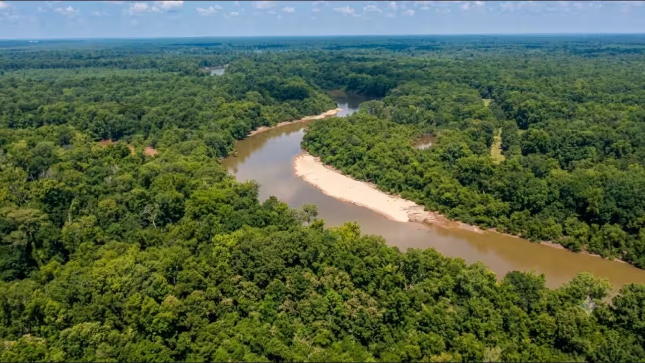 South Carolina Transfers 2,600‑Acre River Forks Timber Tract to State Conservation