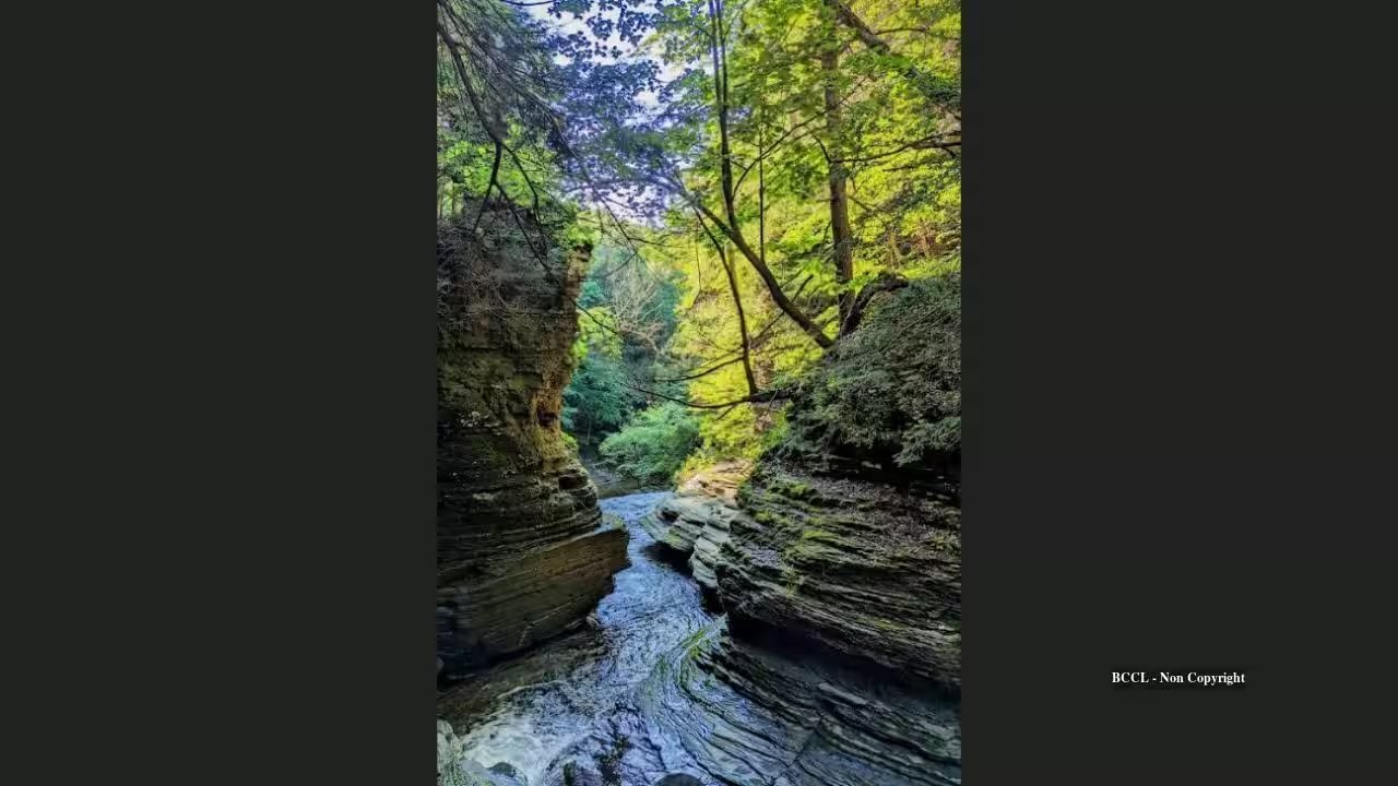 Open Space Institute Buys Four Acres for $1.3M to Expand Buttermilk Falls State Park