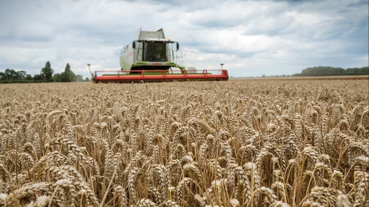 Essex Wildlife Trust Breaches 3.5km Sea Wall, Floods 283 Hectares of Farmland