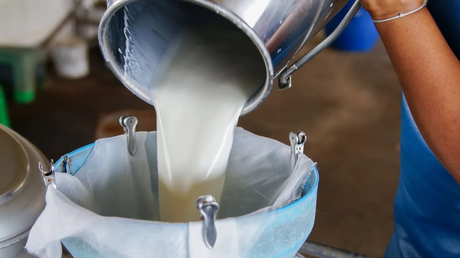 Heritage Foods Shares Trade at ₹405.15 Amid Rising Dairy Prices