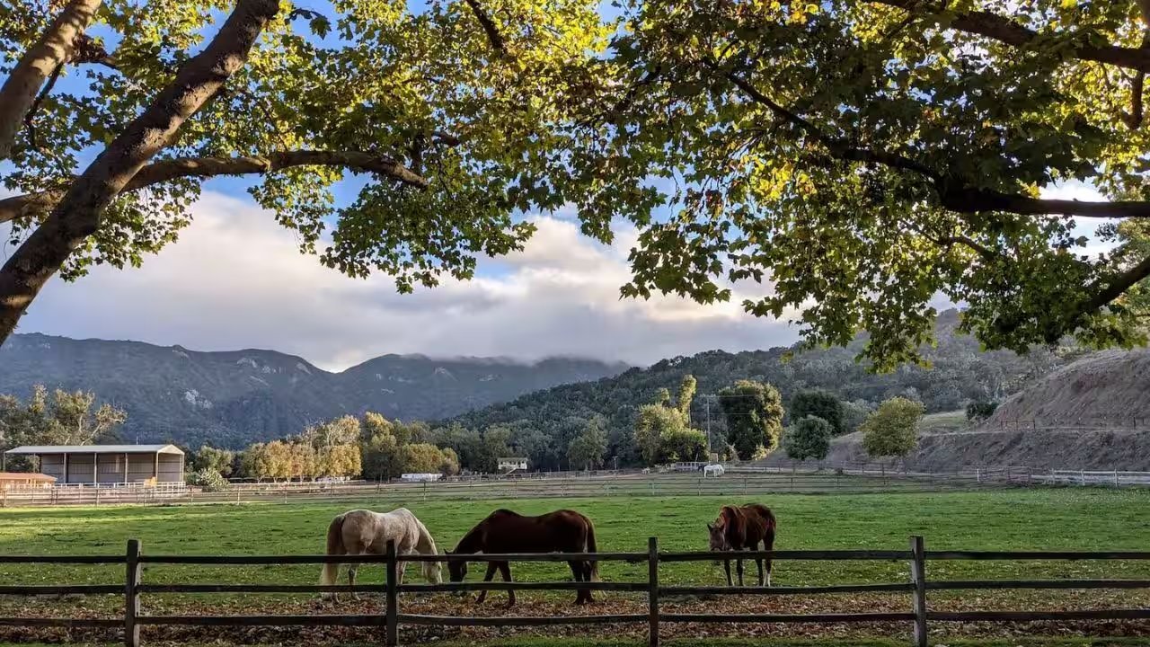 Placer Land Trust Sues to Block Roads in 402-Acre Clover Valley Preserve