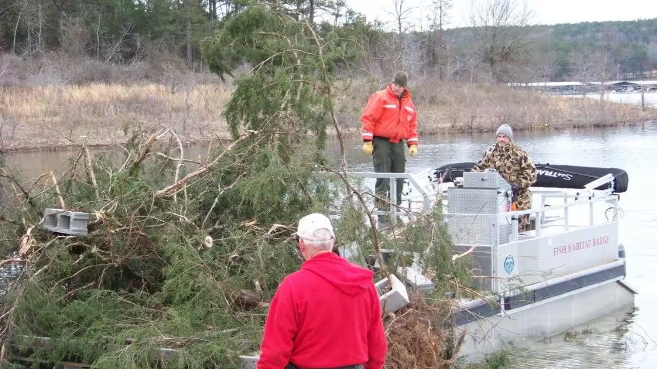 Nebraska Workers Submerge 150 Trees in Two Lakes to Boost Fish Habitat