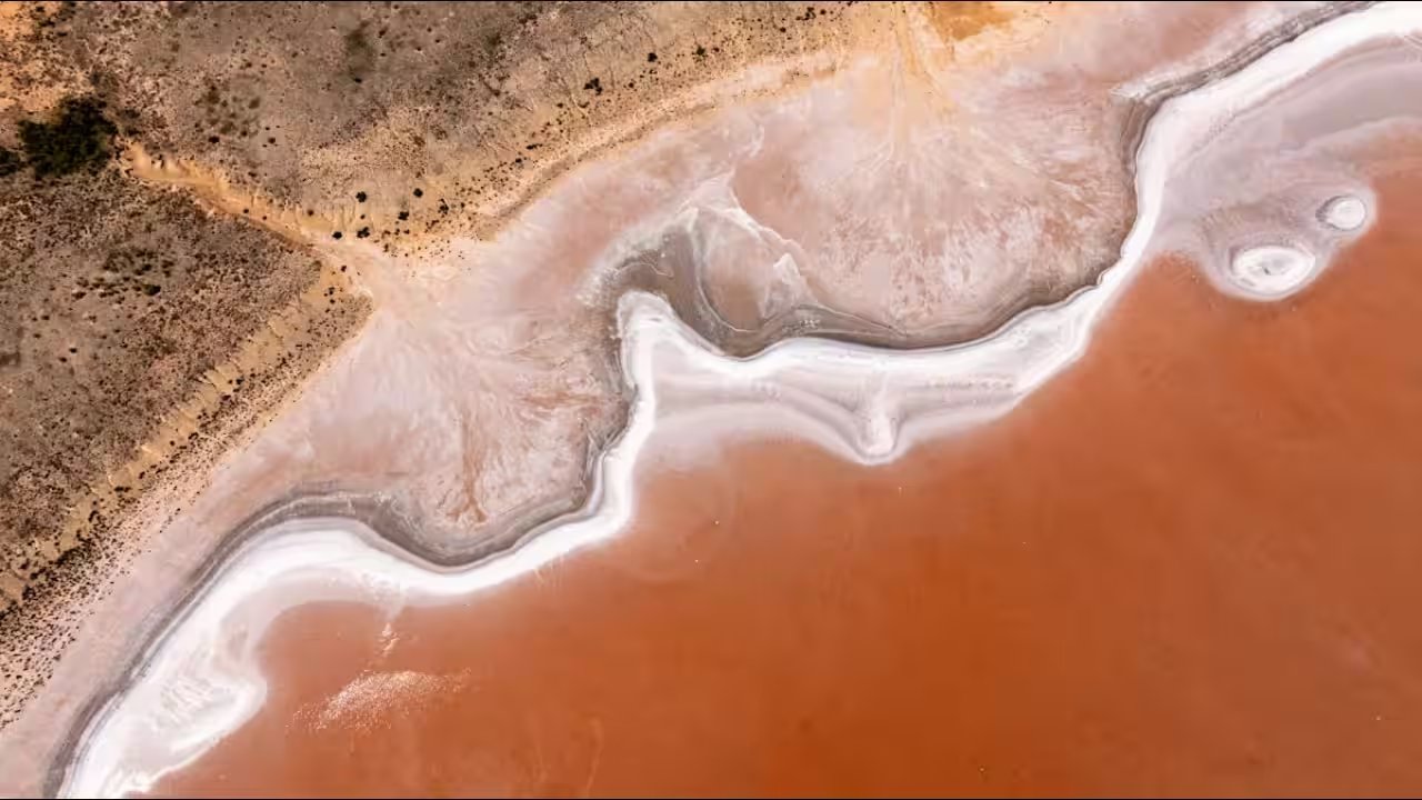NSW and Federal Governments Buy 74,000‑Hectare Pulgamurtie Station to Protect Pink Lakes