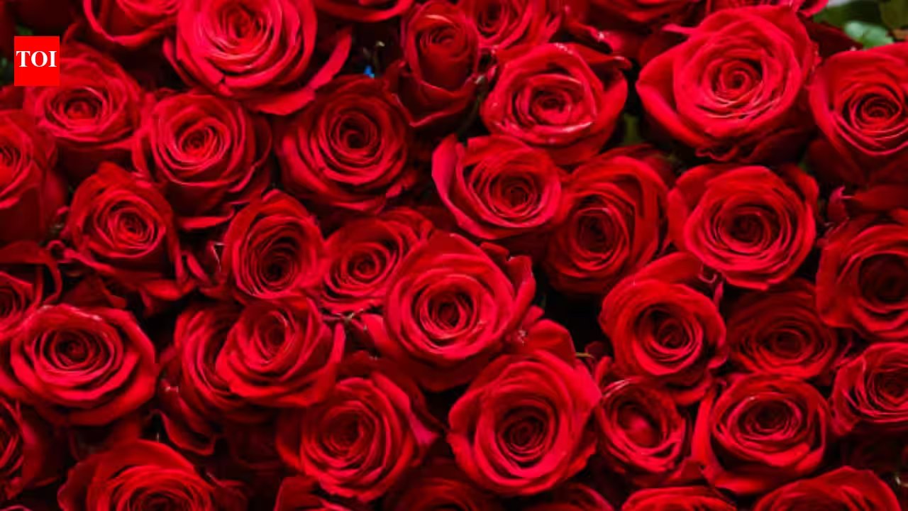 Rose Water Facial Mist: Hydrate Your Skin Naturally for Radiant Glow