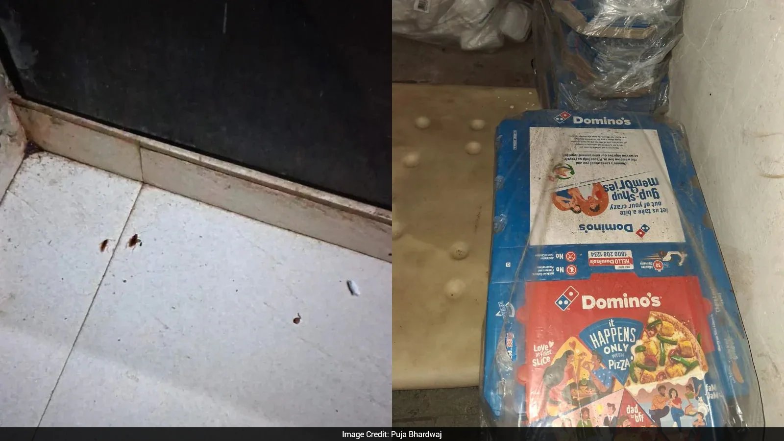 Maharashtra FDA Suspects 3 Domino’s Mumbai Outlets for Severe Food Safety Breaches