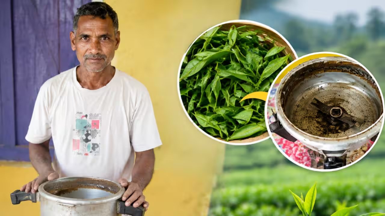 Turn Your Old Pressure Cooker Into a DIY Tea Toner for Radiant Skin