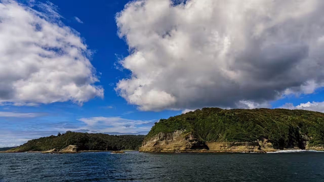 Re:wild, Backed by DiCaprio, Secures 52,000‑Acre Guafo Island in Chile