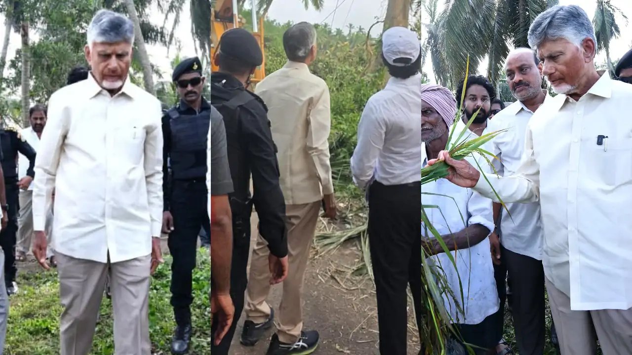 Naidu Monitors Relief As Power Restored In 90% Of Cyclone-Hit Andhra Villages