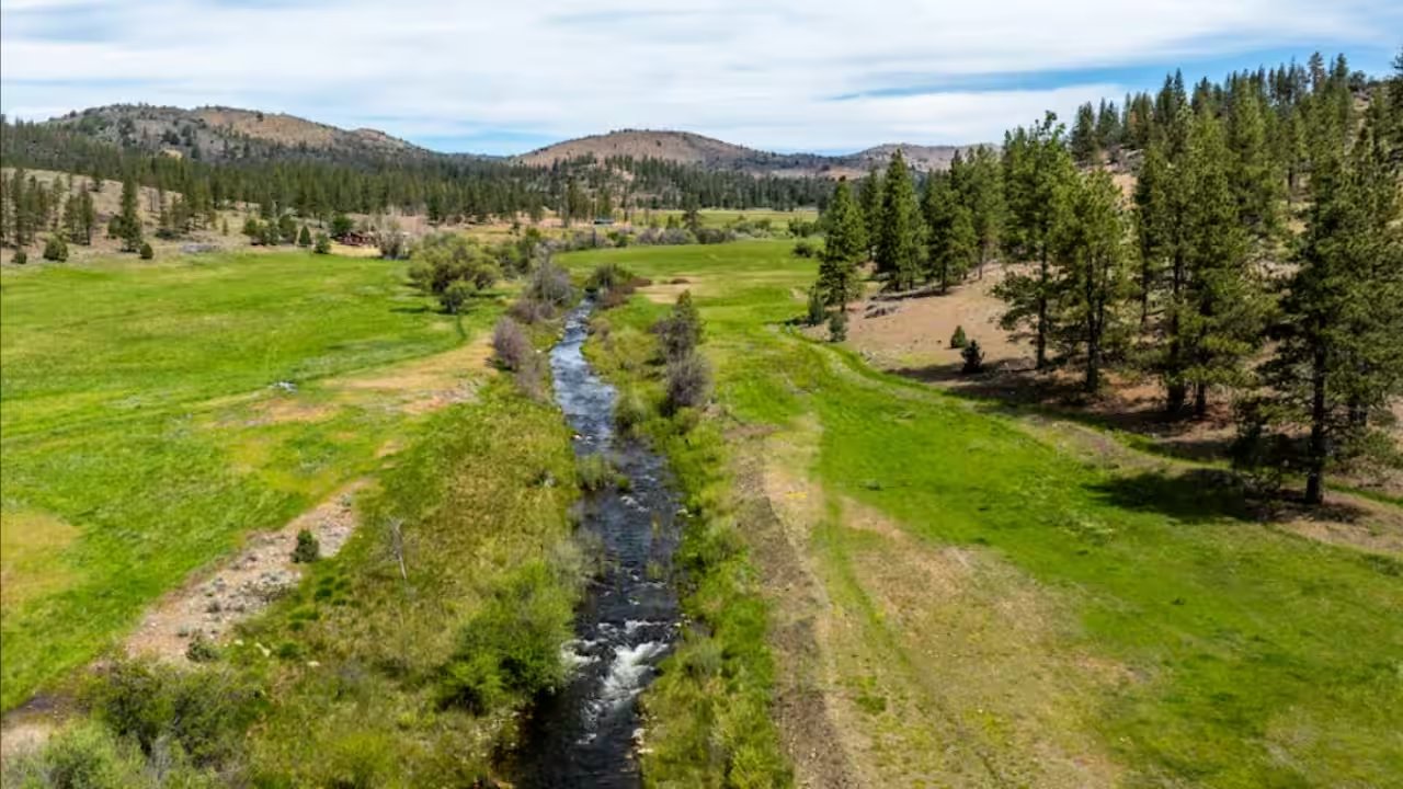 California Wildlife Conservation Board Grants $43.9M for 15 Projects, Including 14,177‑Acre Acquisition Near Callahan