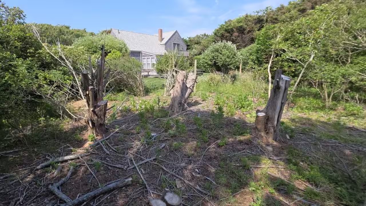 Massachusetts Couple Secures $310,000 Land Dispute Verdict Against Neighbor
