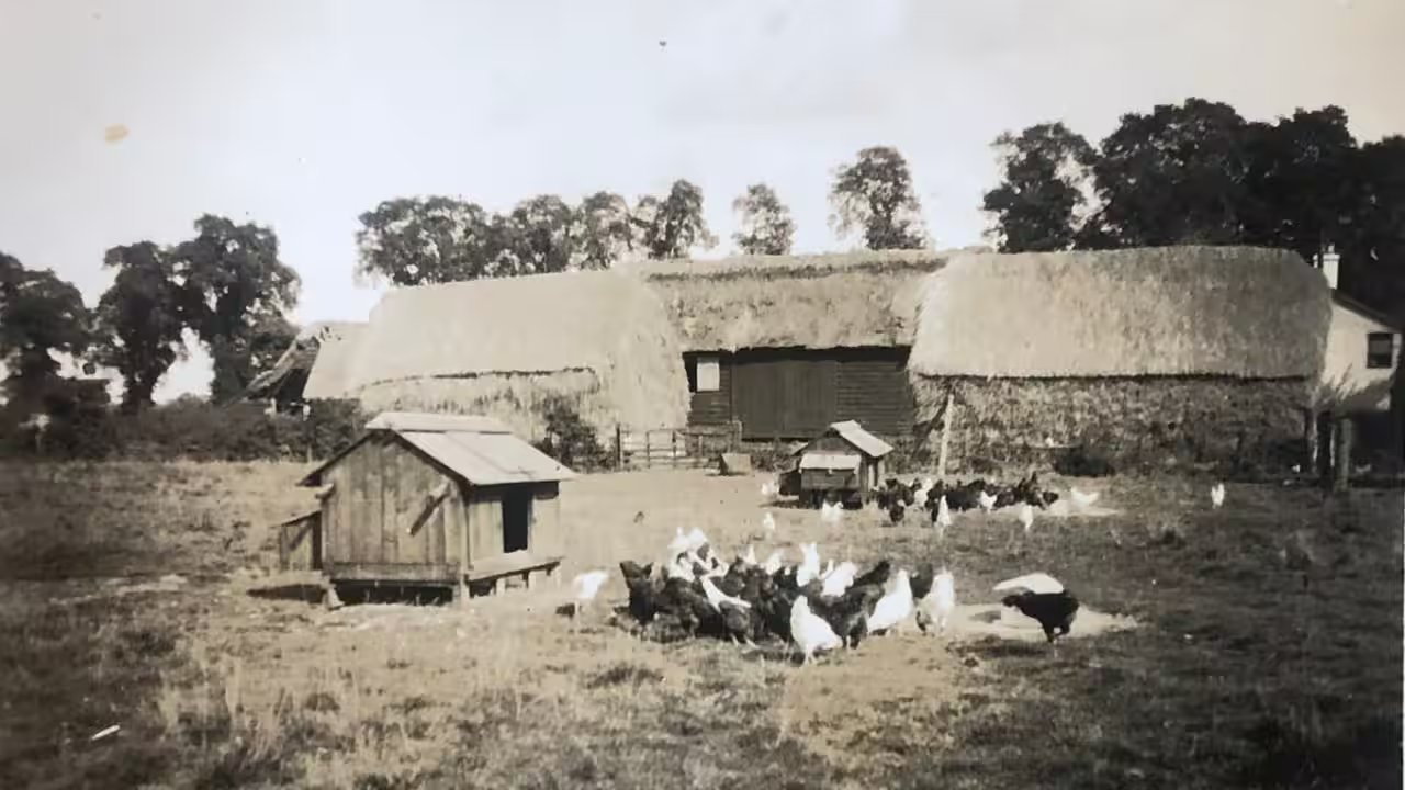 Duncan Clark DL Launches 200‑Acre Nature‑Recovery Project in Essex