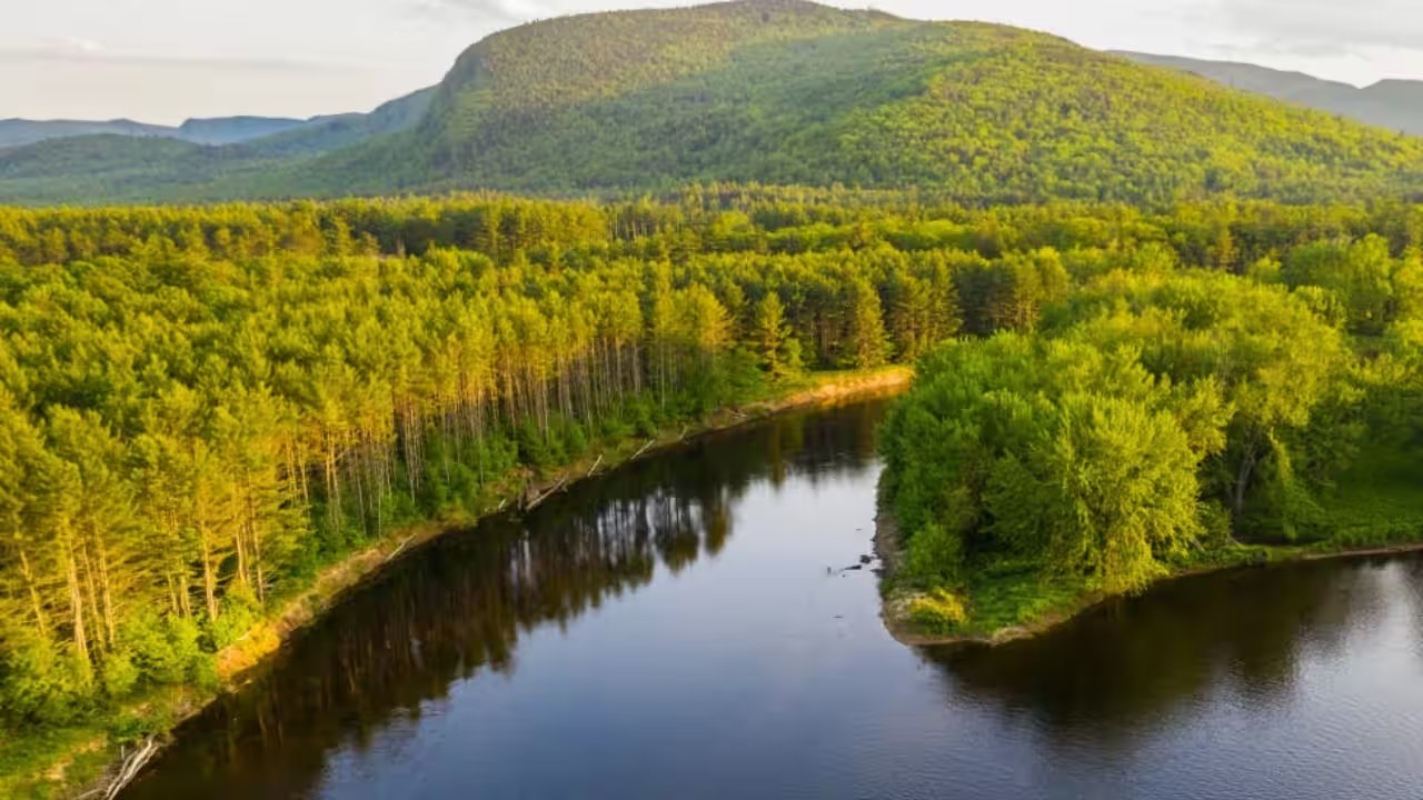 Maine Coalition Protects 27,000 Acres of Bethel Forests While Keeping Timbers Harvestable