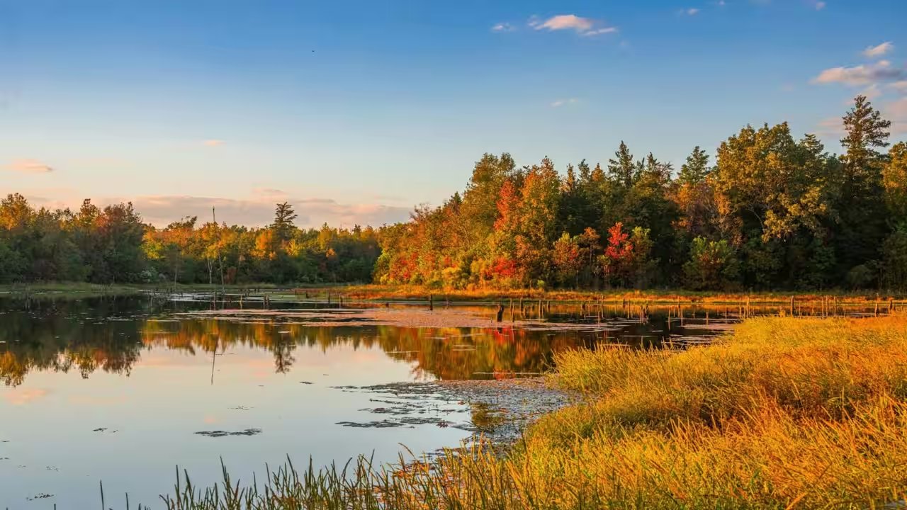 Texas Parks Foundation Buys 650‑acre Lake Palestine Ranch for Over $10 M