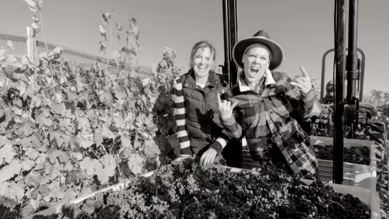 Pink Purchases 200-Acre Santa Barbara Ranch for $9M, Launches Two Wolves Vineyard