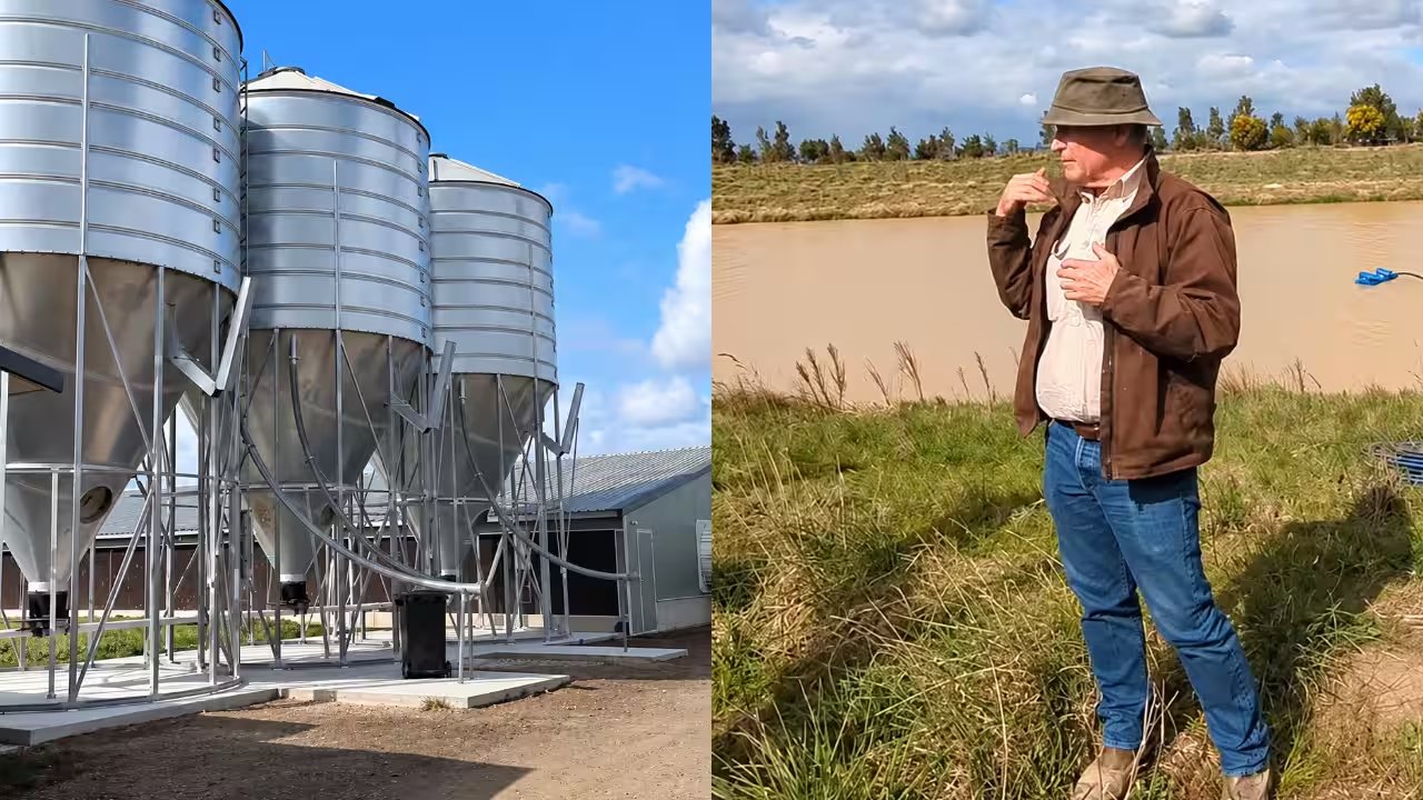 Chris Freney Builds 35,000‑Ton Poultry Waste Plant to Power 1,200 Homes