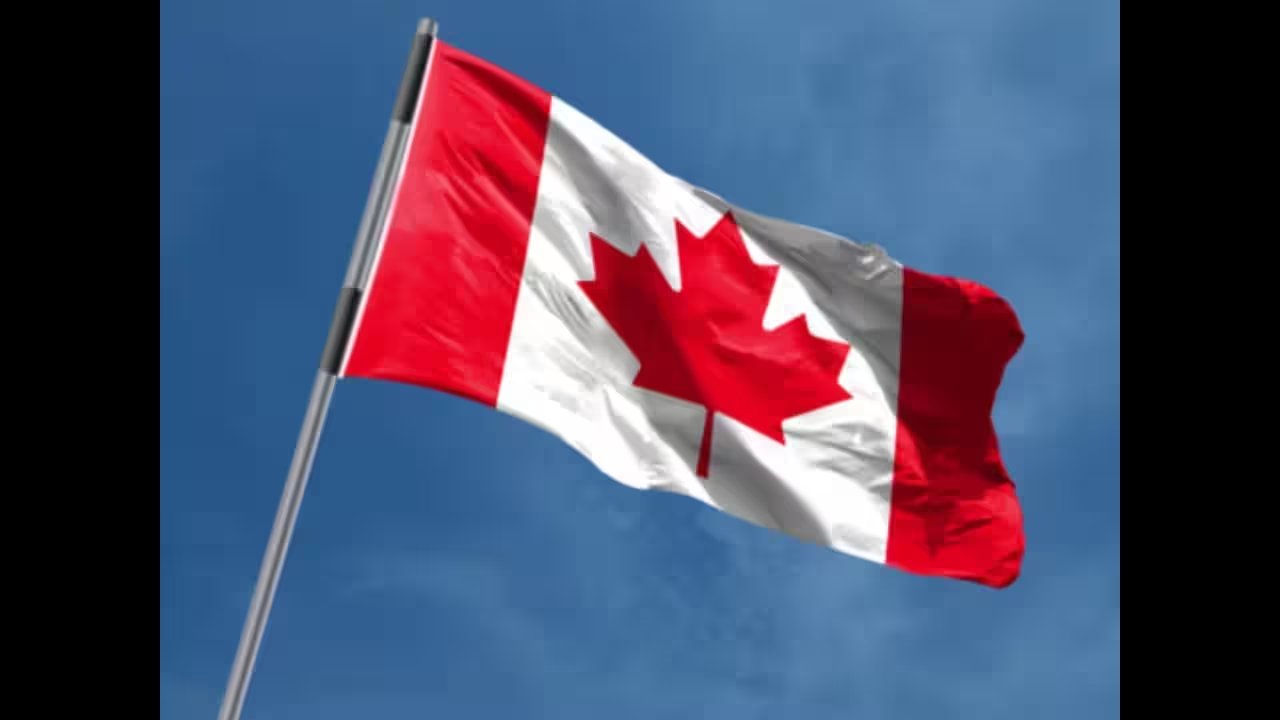 Toronto Judge Denies Immigrant’s Plea, Hands Harpreet Singh 15-Month Term