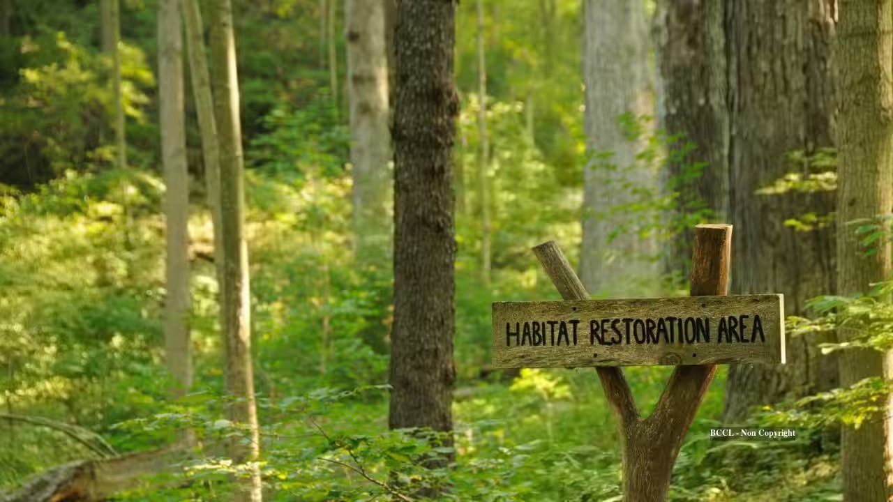 Anonymous Donor Funds $1.8 Million French Park Forest Restoration in Cincinnati