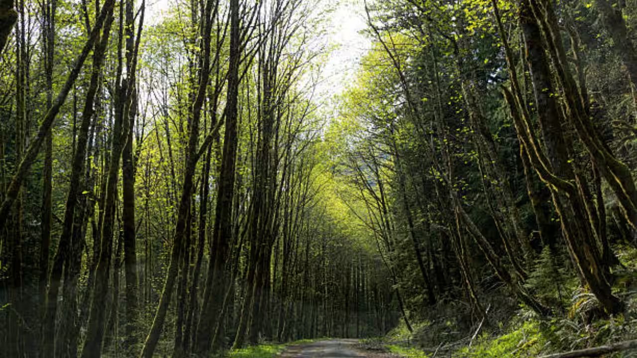 US Congress Approves Transfer of 18,626 Acres to Grand Ronde Tribe