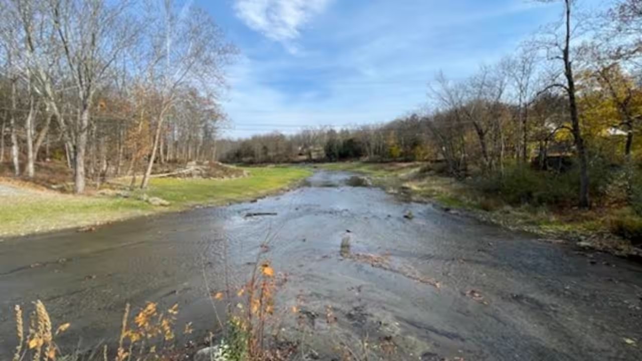 New Jersey's Columbia Dam Removal Spurs Juvenile Eel Migration, Study Finds