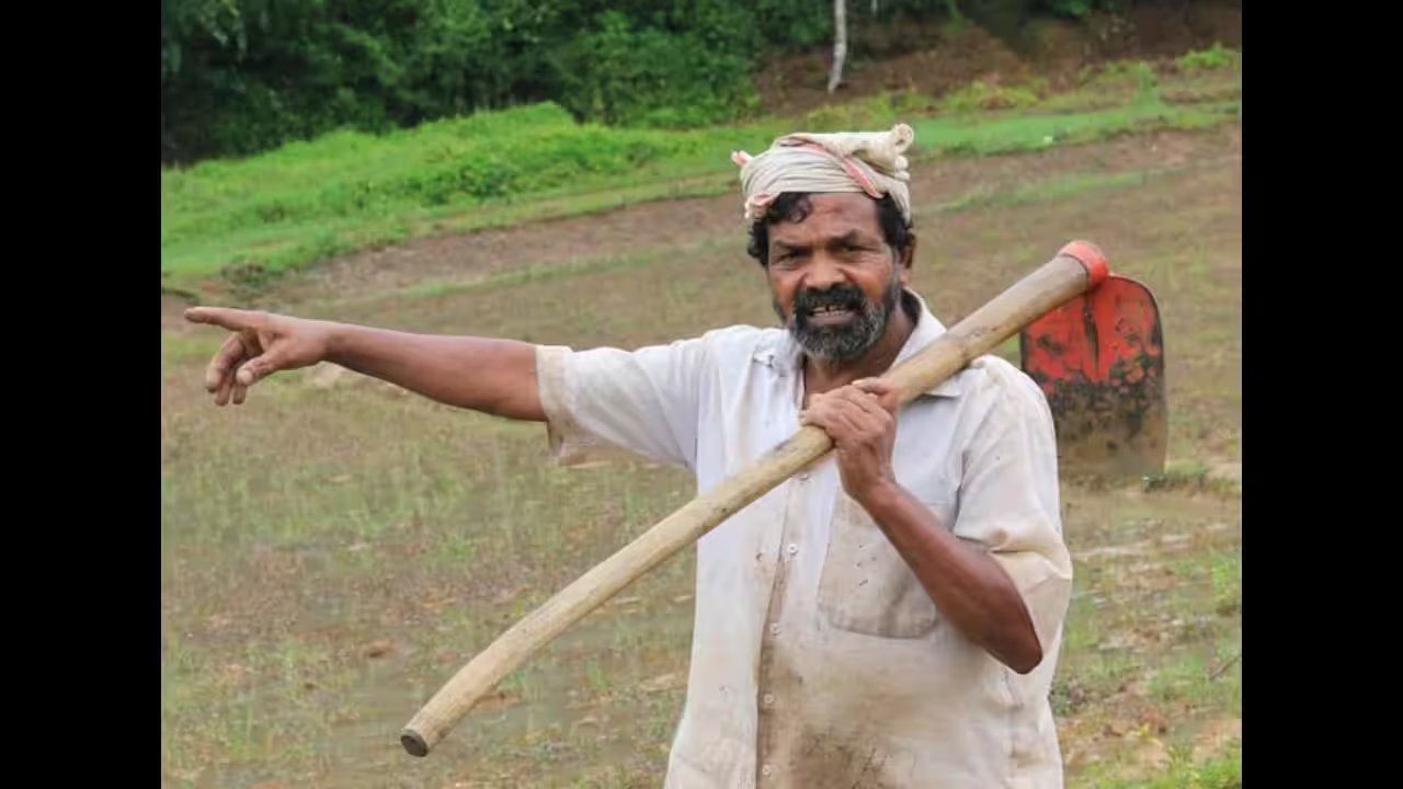 Kerala Rice Seed Oil: A Heritage Ingredient for Glowing Skin