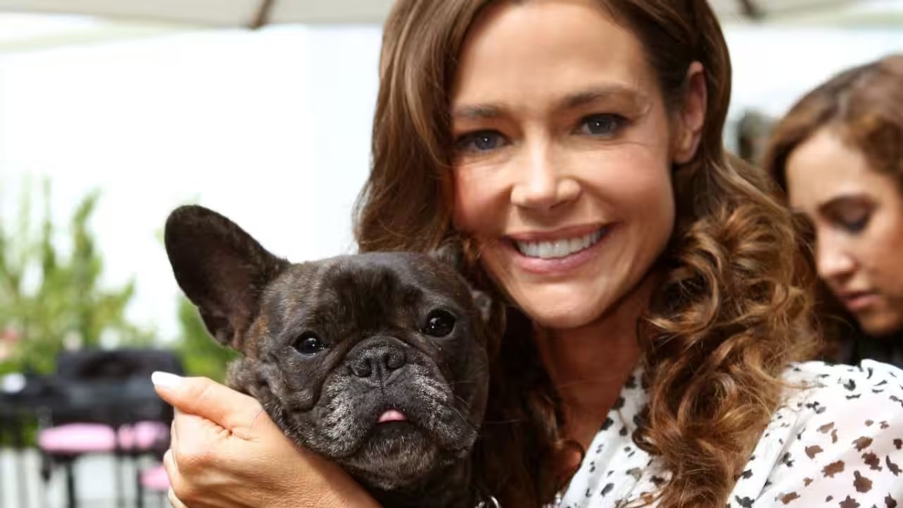 Denise Richards Launches TV Campaign for Shelter Dog Adoption in 2011