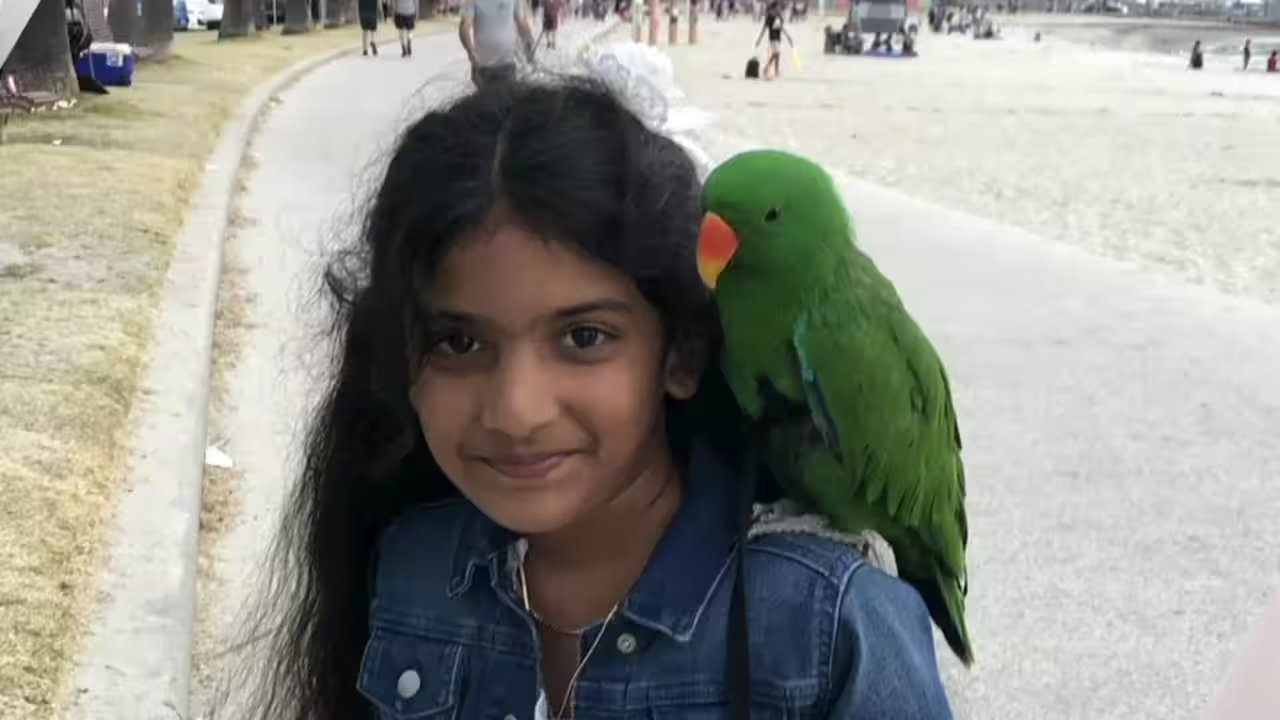 Early Detection of Myocarditis Can Save Children: New Coroner Report Highlights Risks