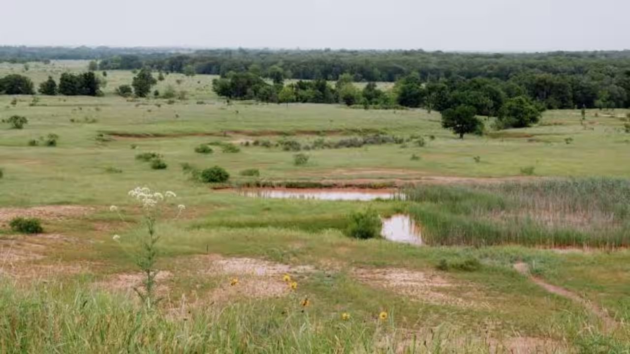 Judge Maya Guerra Gamble Overturns $443 Million Lake Ringgold Permit in Texas