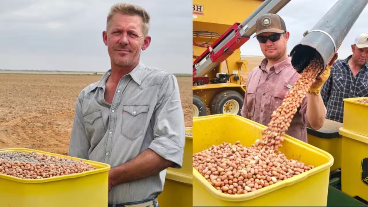 Henry Froese Turns 12‑Year‑Old Peanut Loader into 2026 Award‑Winning Texas Farmer