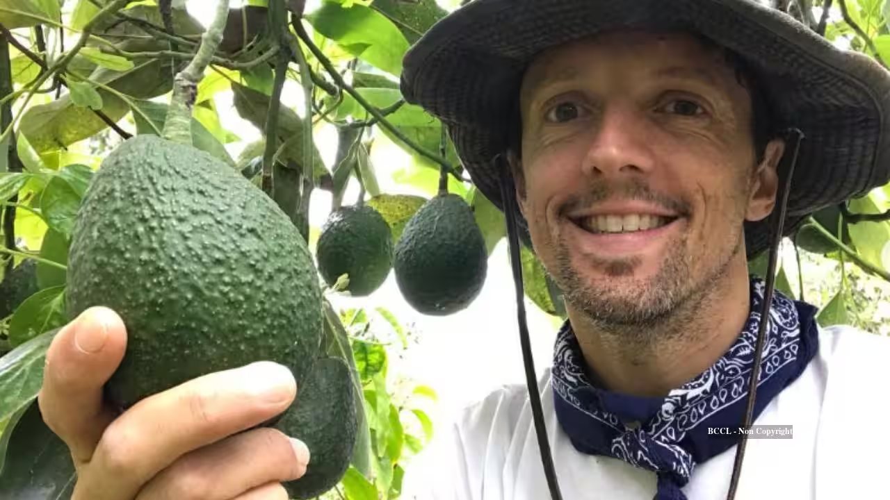 Regenerative Farming Yields Nutrient‑Rich Organic Avocados, Coffee, and Passionfruit