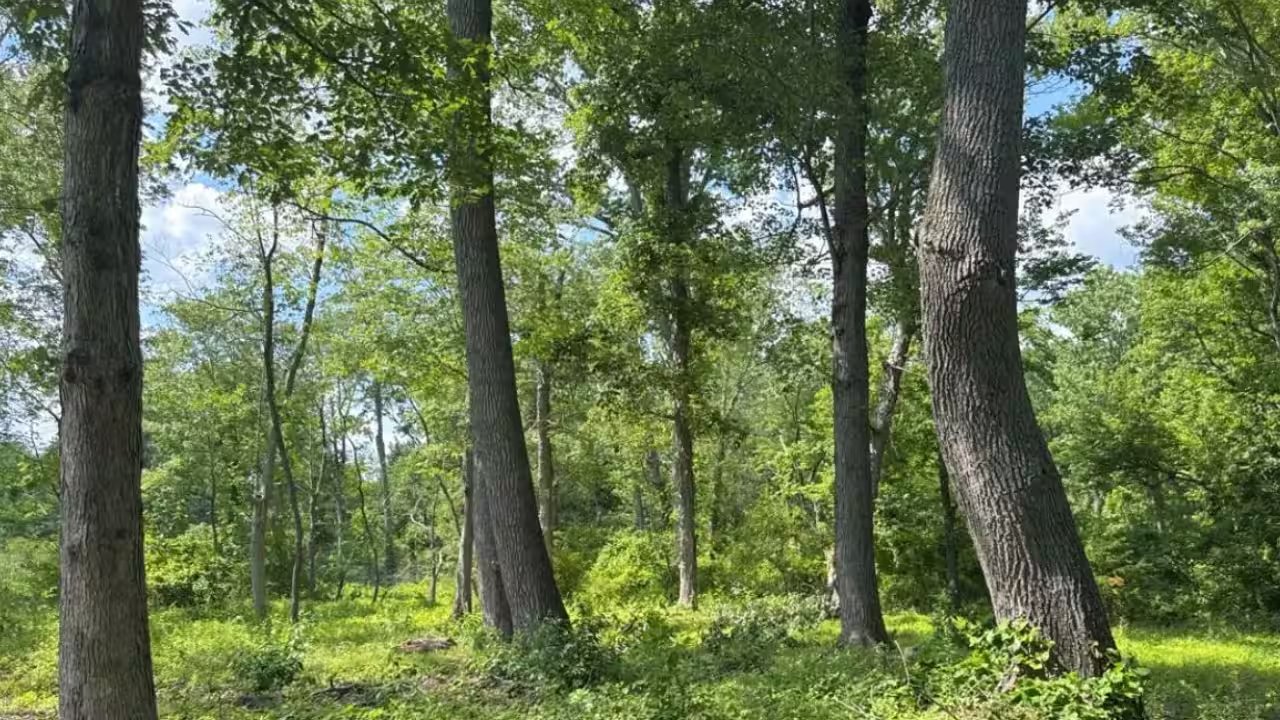 Becks Secure 30‑Acre Bucks County Farm With Conservation Easement