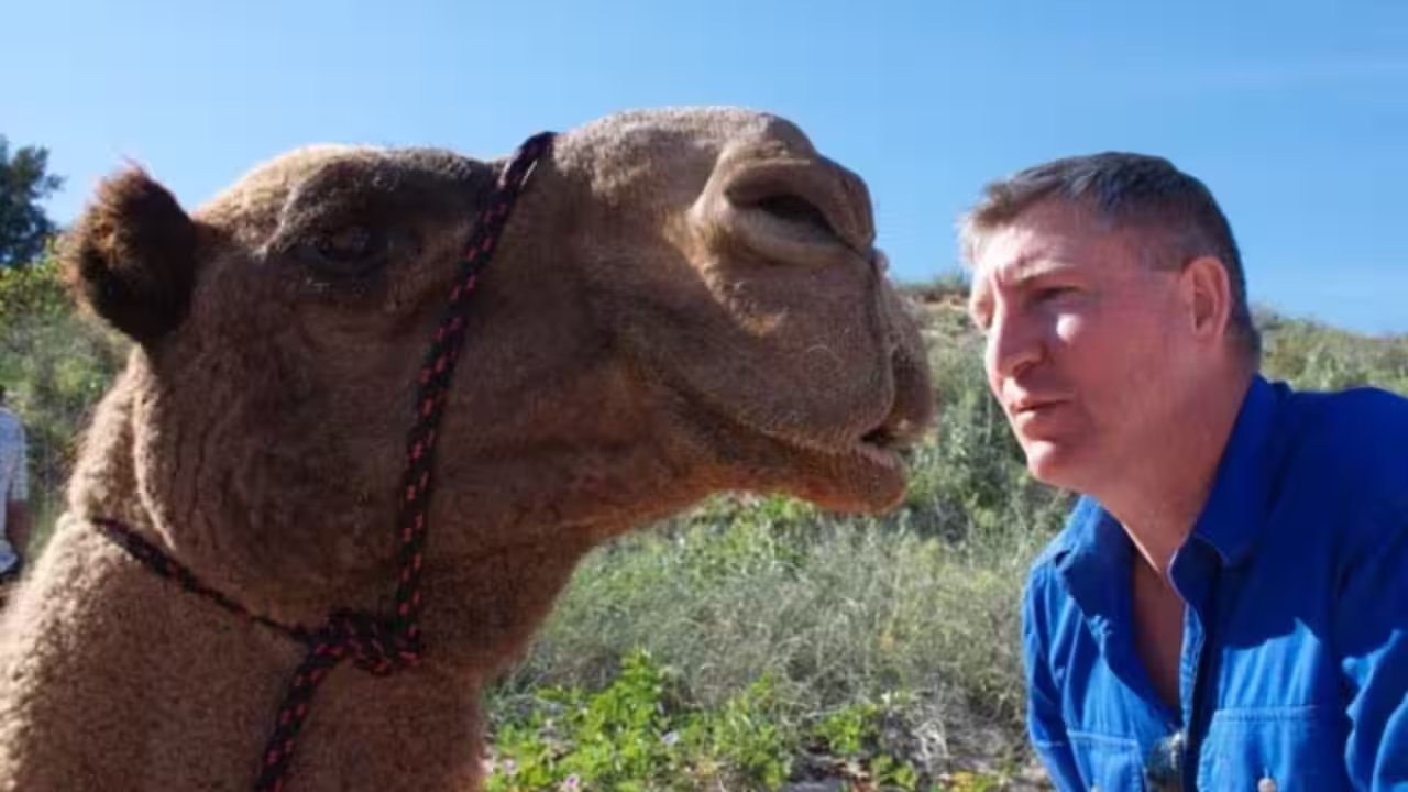 David Mason Reunites With Camel Kabul 17 Years After Historic 5,500km Australian Trek