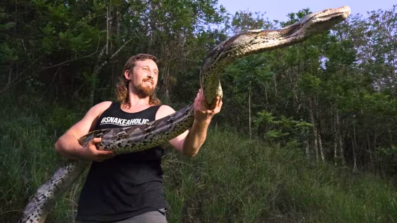 Kevin Pavlidis Seizes Record 18‑Foot Reticulated Python in Puerto Rico