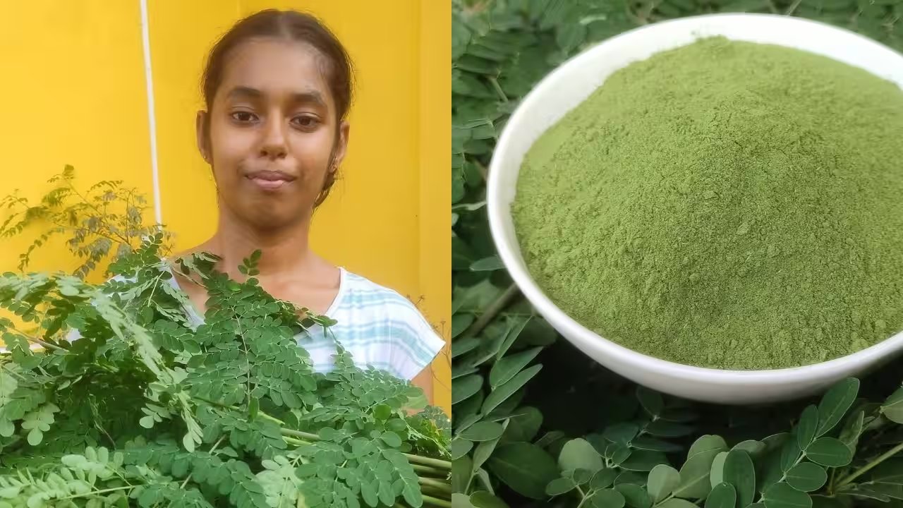 DIY Moringa Powder: A 13‑Year‑Old’s Backyard Secret for Radiant Skin