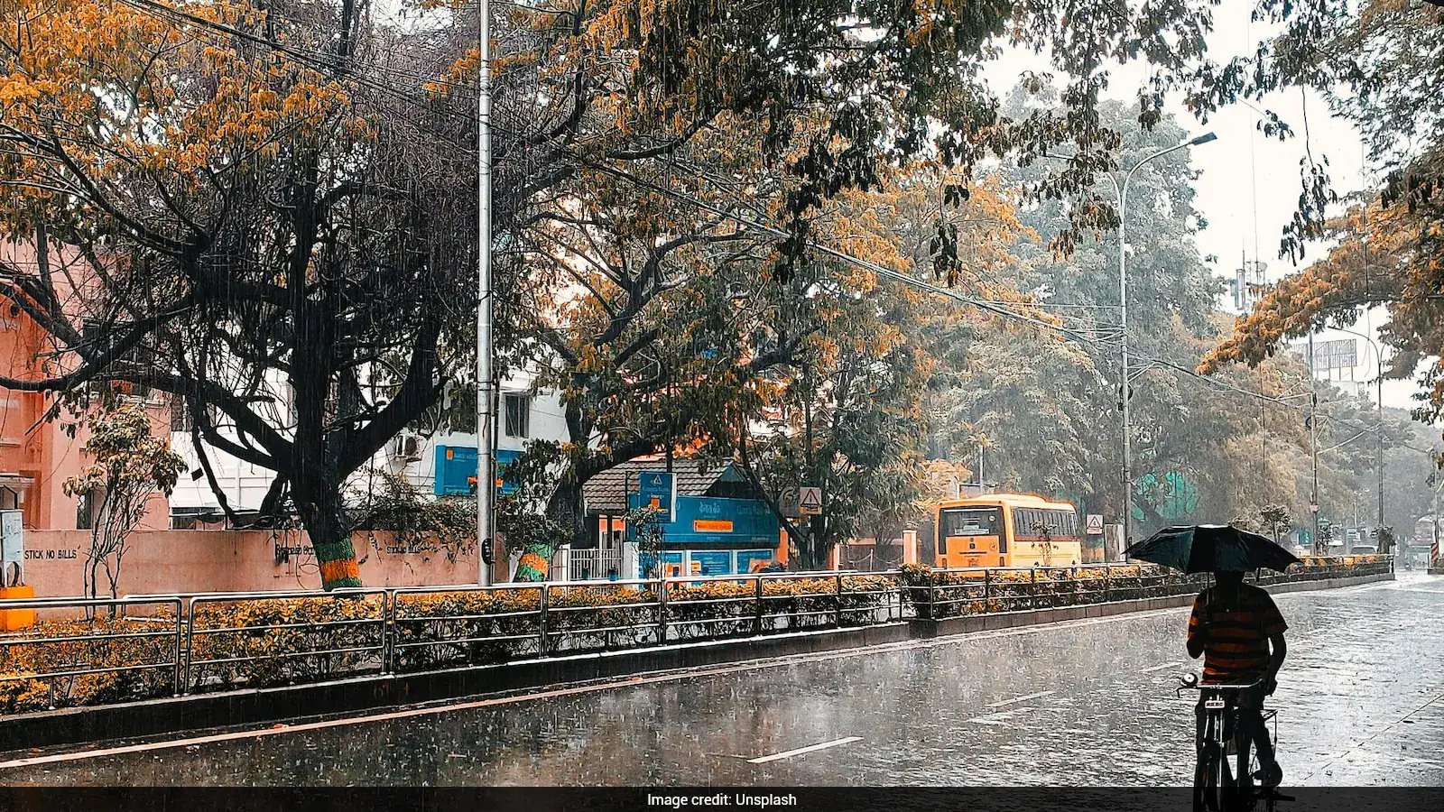 IMD Issues Heavy Rain Warning for Tamil Nadu, Andhra Pradesh on Oct 20