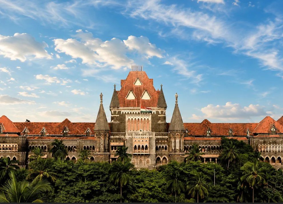 Bombay High Court Orders Bollywood Stars to Join Anti-Fireworks Drive Free of Charge