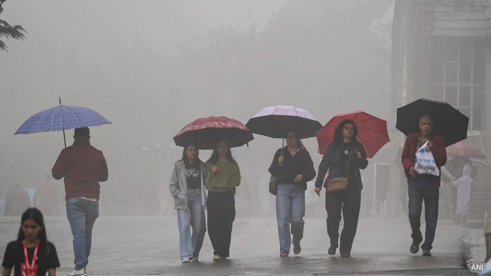 Kinnaur Hales Season's First Snow, Blanks NH-05 Amid Red Alert Warnings