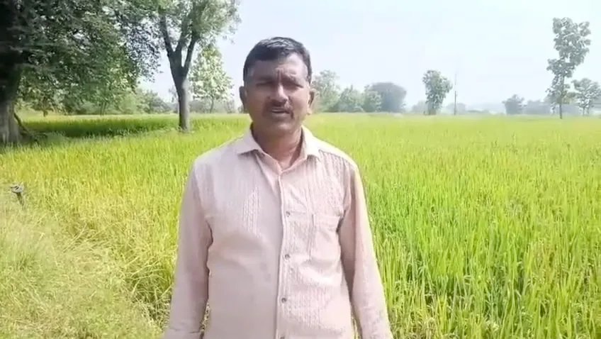 Venkat Reddy Burns 10‑acre Paddy Field Amid Power Cuts, Pest Outbreak