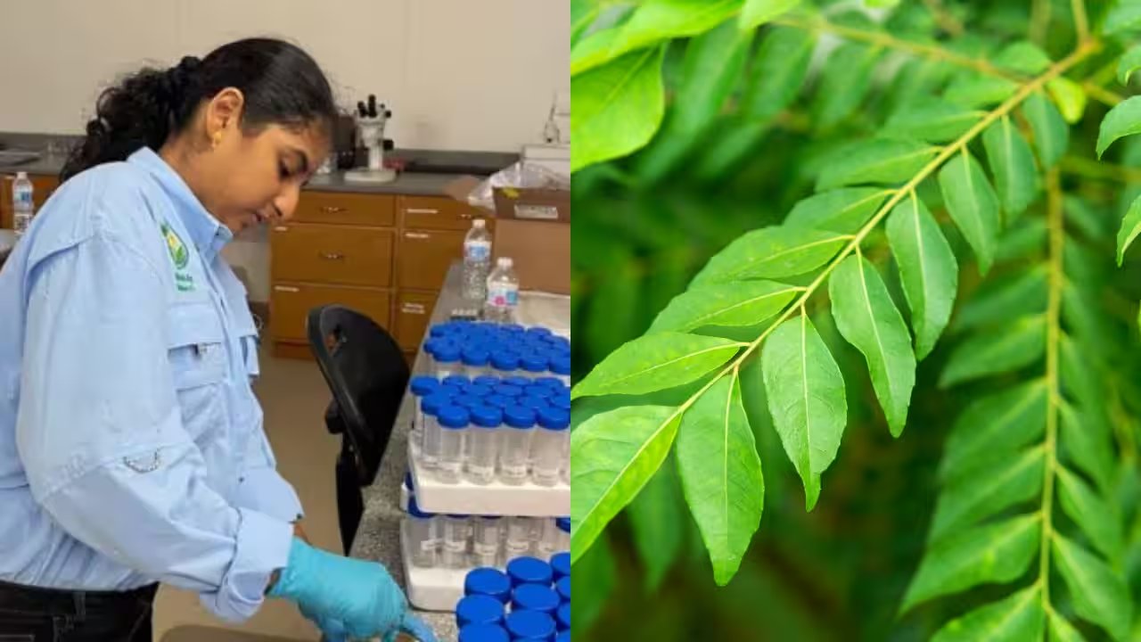 17‑Year‑Old Tanishka Aglave Secures $50,000 Scholarship for Florida Citrus Greening Breakthrough