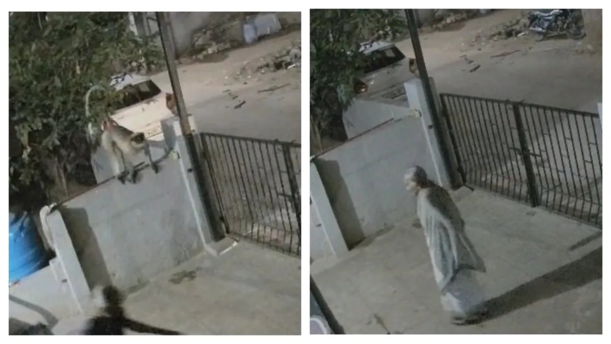 Karnataka Monkey Attack Kills 91‑Year‑Old Woman, Police Investigate
