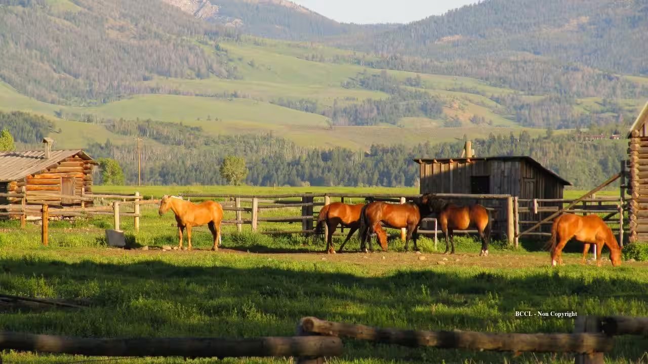 Arthur Cameron’s Rancho Cariñoso Sells for $22.55 M at Auction, 80% Drop from $109 M