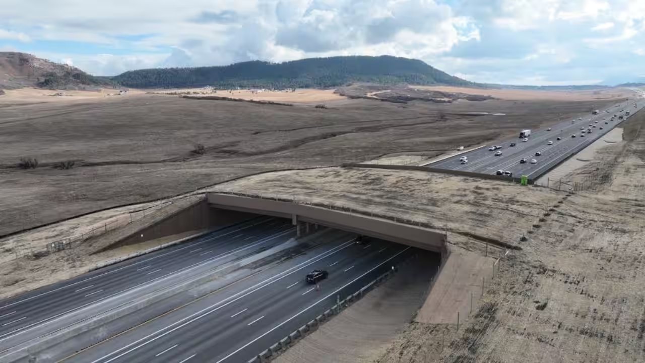 Colorado CDOT Cuts Wildlife‑Vehicle Collisions 91% with I‑25 Overpass