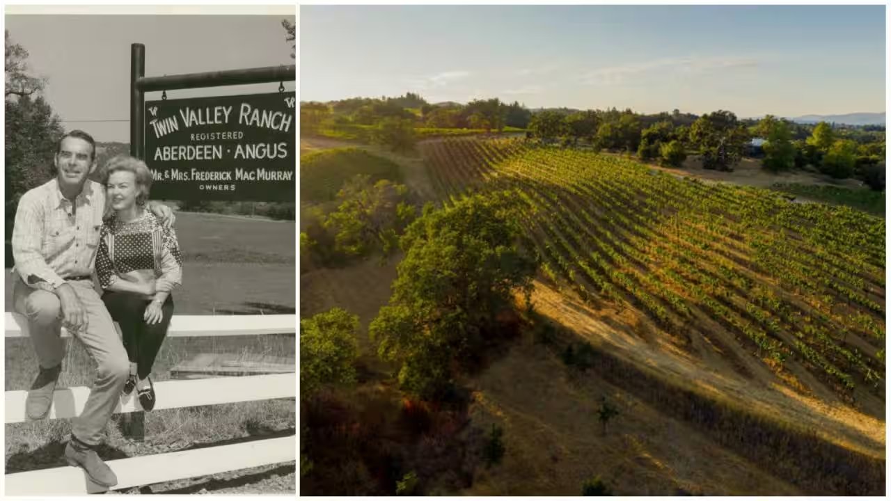 Fred MacMurray's 52-Acre Healdsburg Vineyard Hits Market at $22 Million