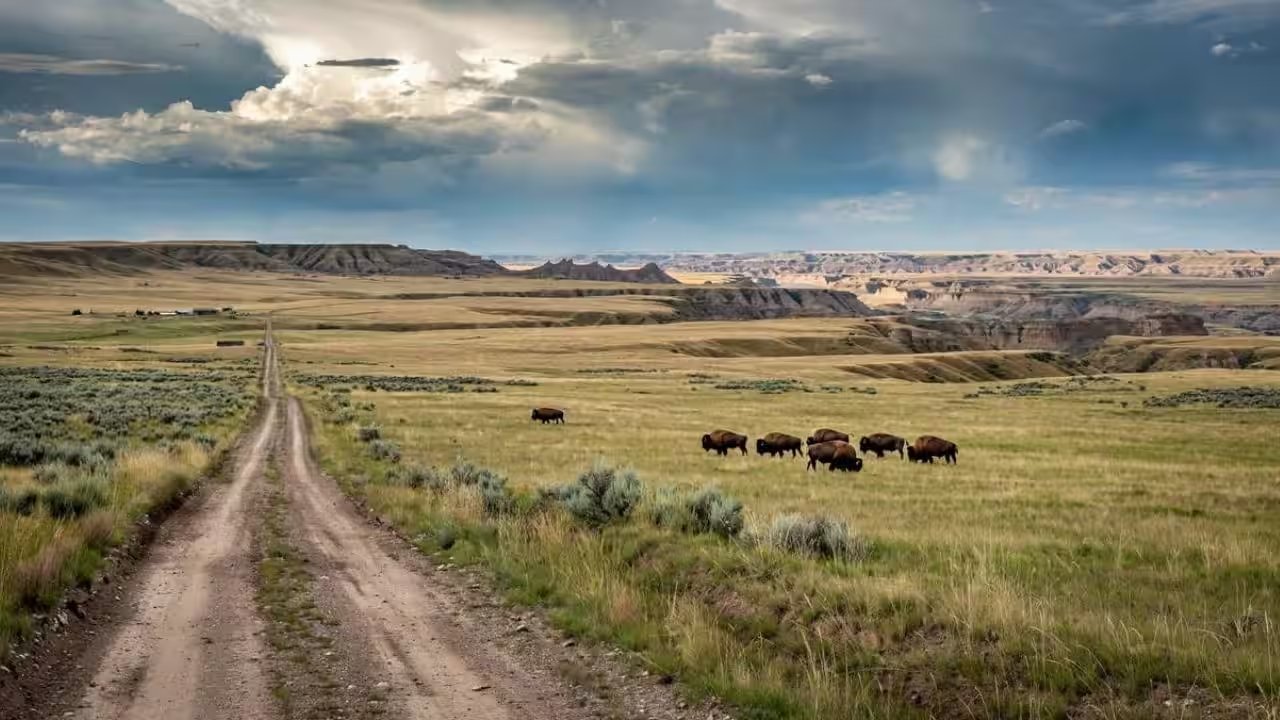 American Prairie Secures 70,000‑Acre Anchor Ranch, Expanding to 518,000 Acres