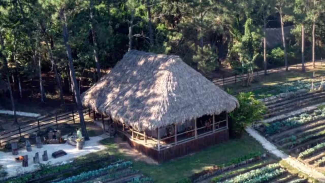 Sofia Coppola and Monastery launch rosewood facial mist at Belize's Blancaneaux, 2024