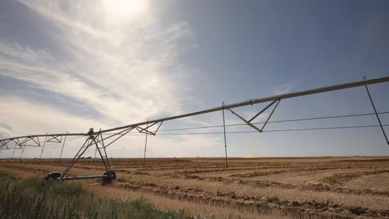 Idaho Family Sues State After 1,000-Acre Farm Dries Up From Emergency Water Order