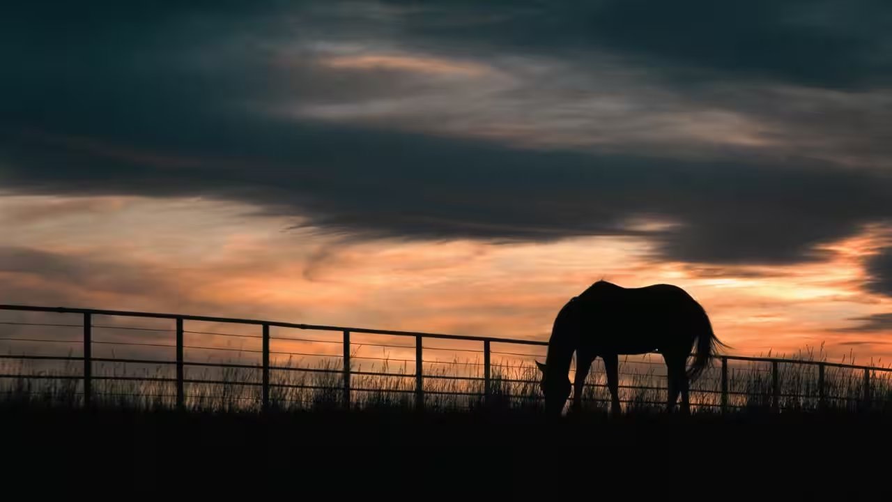 Florida Approves $12.9M Deal To Protect 5,610-Acre Hendrie Ranch
