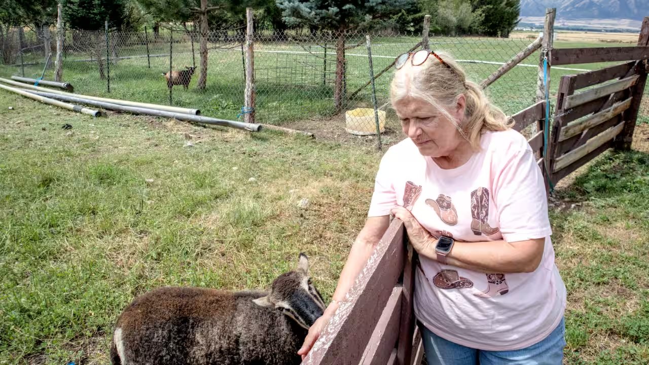 Sheri Schiess Secures 25.5‑Acre Nibley Farm With Conservation Easement