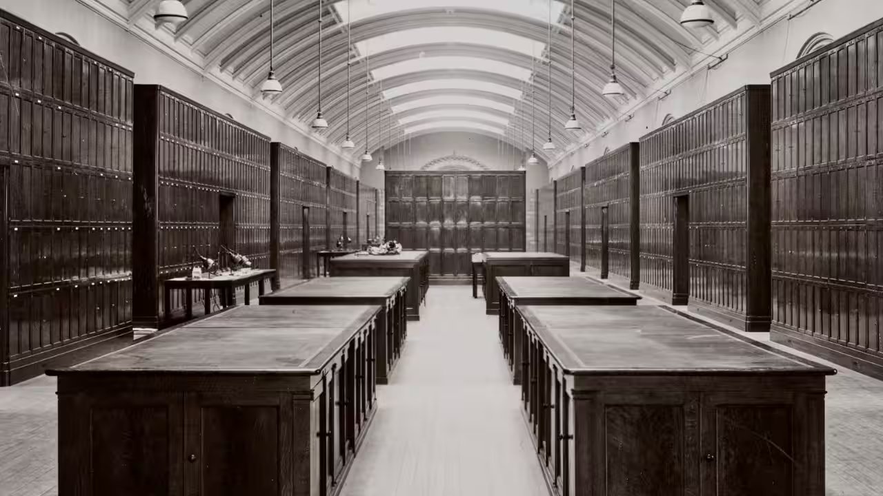 Natural History Museum London Reopens Secret Gallery After 80 Years