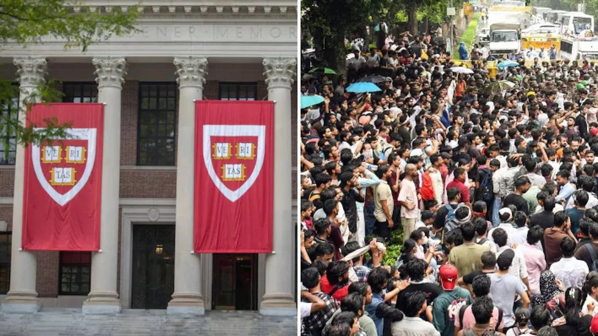 Harvard Alumni Condemn Campaign Targeting India's Institutions Over Election Commissioner Protest